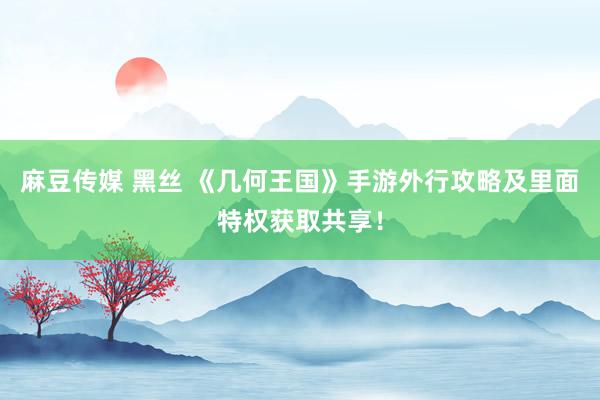 麻豆传媒 黑丝 《几何王国》手游外行攻略及里面特权获取共享！