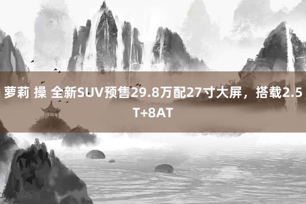 萝莉 操 全新SUV预售29.8万配27寸大屏，搭载2.5T+8AT