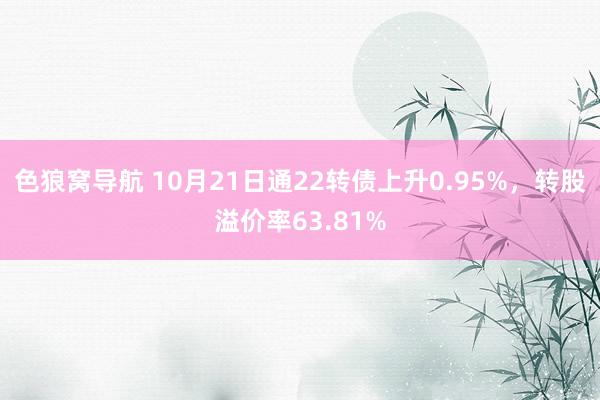 色狼窝导航 10月21日通22转债上升0.95%，转股溢价率63.81%