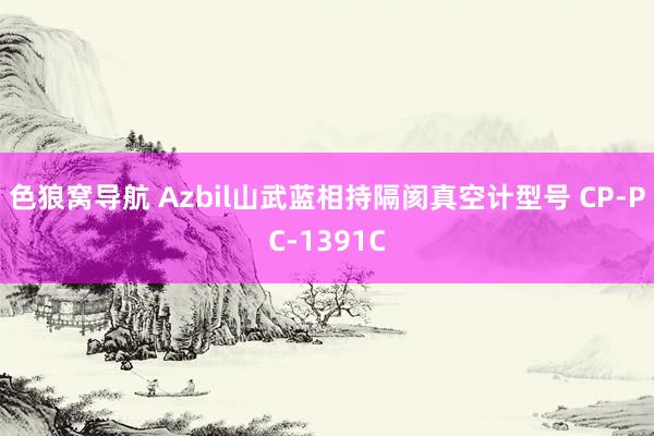 色狼窝导航 Azbil山武蓝相持隔阂真空计型号 CP-PC-1391C