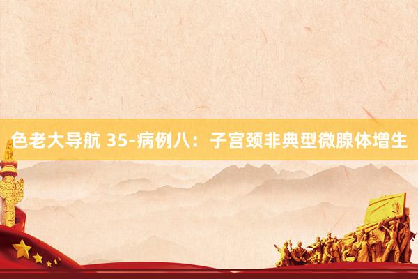 色老大导航 35-病例八：子宫颈非典型微腺体增生