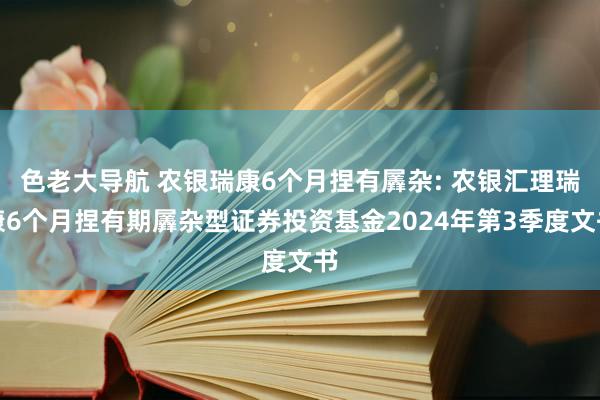 色老大导航 农银瑞康6个月捏有羼杂: 农银汇理瑞康6个月捏有期羼杂型证券投资基金2024年第3季度文书