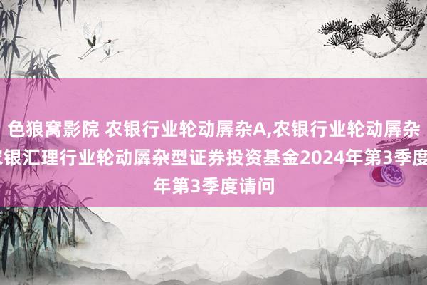 色狼窝影院 农银行业轮动羼杂A,农银行业轮动羼杂C: 农银汇理行业轮动羼杂型证券投资基金2024年第3季度请问
