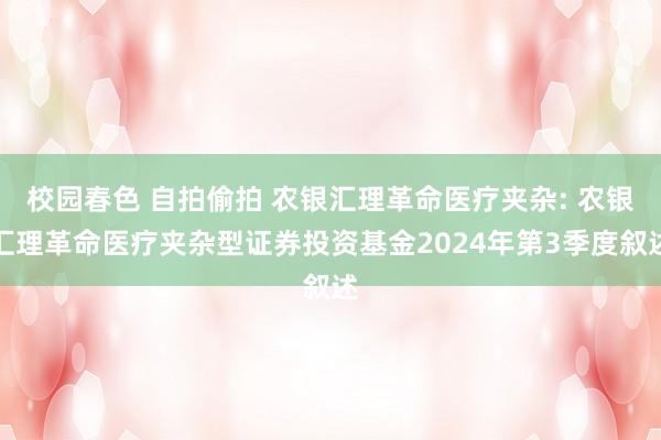校园春色 自拍偷拍 农银汇理革命医疗夹杂: 农银汇理革命医疗夹杂型证券投资基金2024年第3季度叙述