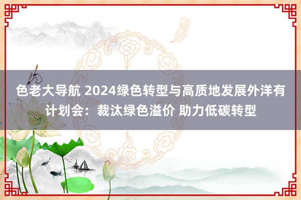 色老大导航 2024绿色转型与高质地发展外洋有计划会：裁汰绿色溢价 助力低碳转型