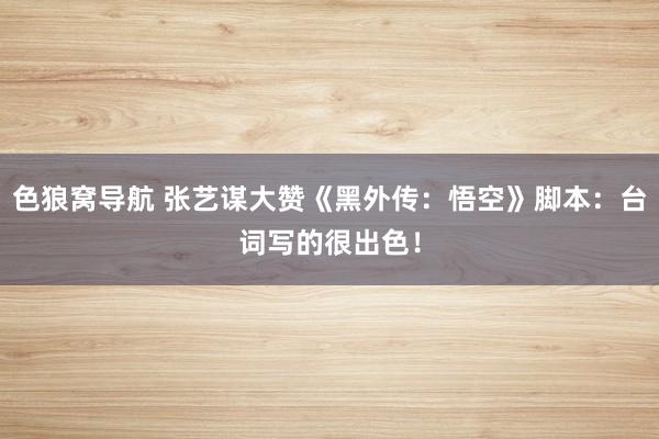色狼窝导航 张艺谋大赞《黑外传：悟空》脚本：台词写的很出色！