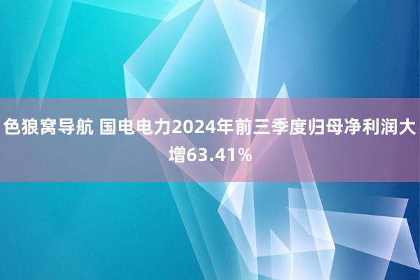 色狼窝导航 国电电力2024年前三季度归母净利润大增63.41%