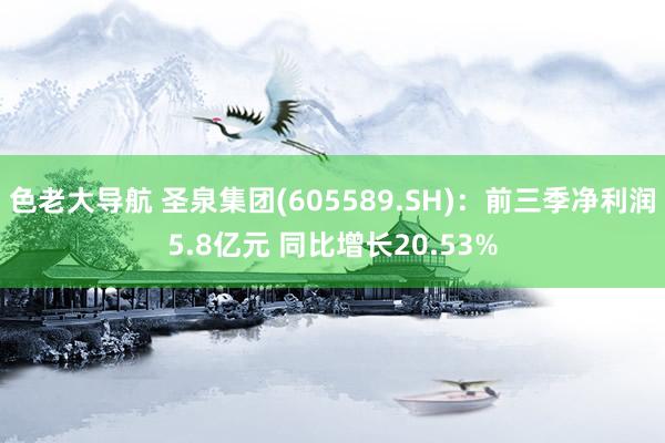 色老大导航 圣泉集团(605589.SH)：前三季净利润5.8亿元 同比增长20.53%