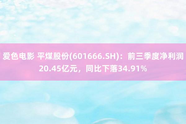 爱色电影 平煤股份(601666.SH)：前三季度净利润20.45亿元，同比下落34.91%