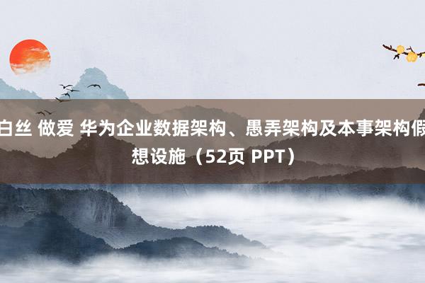 白丝 做爱 华为企业数据架构、愚弄架构及本事架构假想设施（52页 PPT）