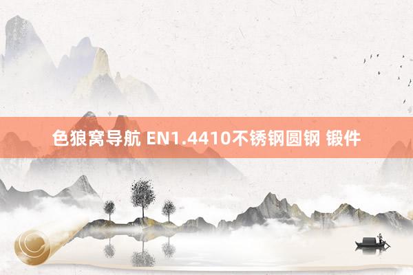 色狼窝导航 EN1.4410不锈钢圆钢 锻件