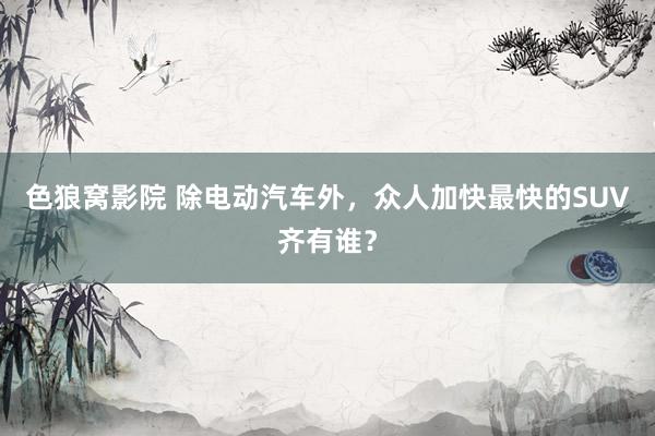色狼窝影院 除电动汽车外，众人加快最快的SUV齐有谁？