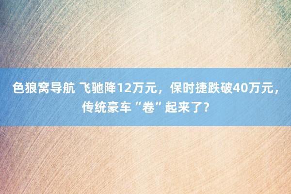色狼窝导航 飞驰降12万元，保时捷跌破40万元，传统豪车“卷”起来了？