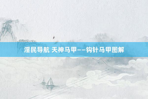 淫民导航 天神马甲——钩针马甲图解