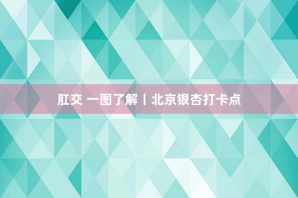 肛交 一图了解丨北京银杏打卡点
