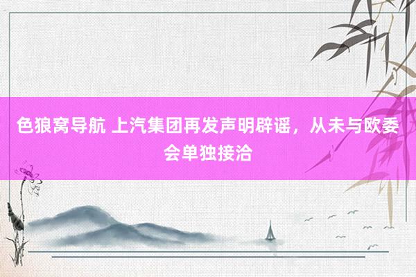 色狼窝导航 上汽集团再发声明辟谣，从未与欧委会单独接洽