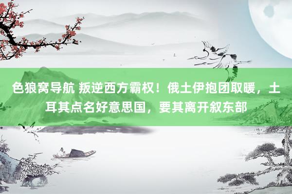 色狼窝导航 叛逆西方霸权！俄土伊抱团取暖，土耳其点名好意思国，要其离开叙东部
