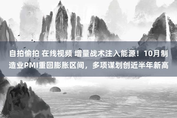 自拍偷拍 在线视频 增量战术注入能源！10月制造业PMI重回膨胀区间，多项谋划创近半年新高