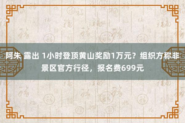 阿朱 露出 1小时登顶黄山奖励1万元？组织方称非景区官方行径，报名费699元