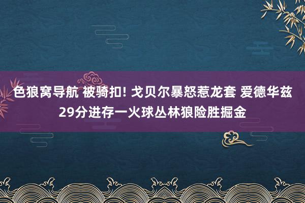 色狼窝导航 被骑扣! 戈贝尔暴怒惹龙套 爱德华兹29分进存一火球丛林狼险胜掘金