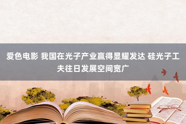 爱色电影 我国在光子产业赢得显耀发达 硅光子工夫往日发展空间宽广