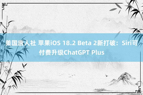 美国唐人社 苹果iOS 18.2 Beta 2新打破：Siri可付费升级ChatGPT Plus