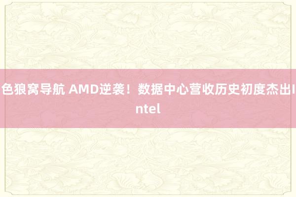 色狼窝导航 AMD逆袭！数据中心营收历史初度杰出Intel