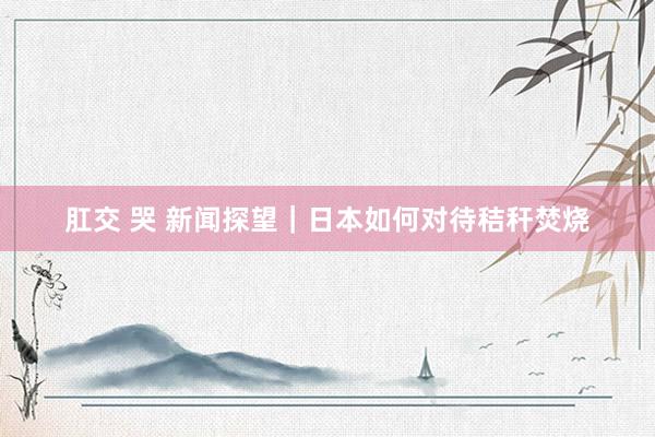 肛交 哭 新闻探望｜日本如何对待秸秆焚烧