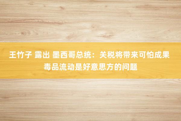 王竹子 露出 墨西哥总统：关税将带来可怕成果 毒品流动是好意思方的问题