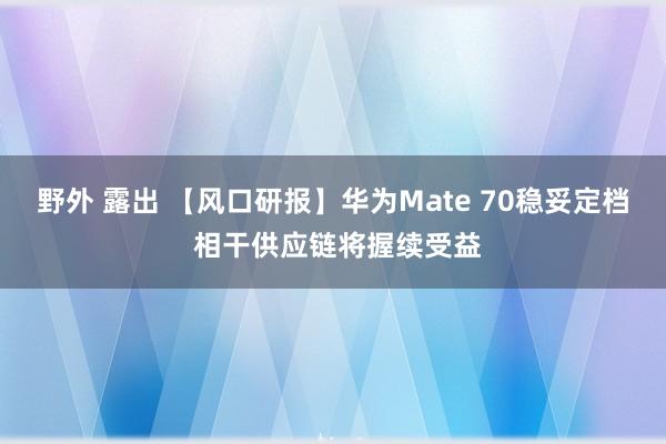 野外 露出 【风口研报】华为Mate 70稳妥定档 相干供应链将握续受益