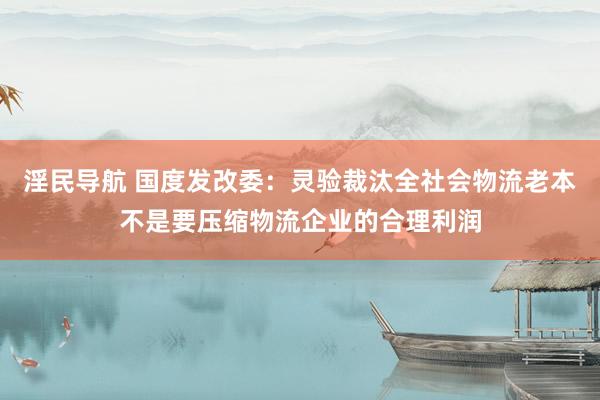 淫民导航 国度发改委：灵验裁汰全社会物流老本不是要压缩物流企业的合理利润