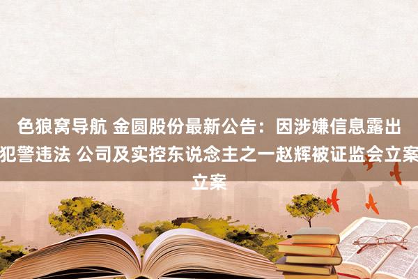 色狼窝导航 金圆股份最新公告：因涉嫌信息露出犯警违法 公司及实控东说念主之一赵辉被证监会立案