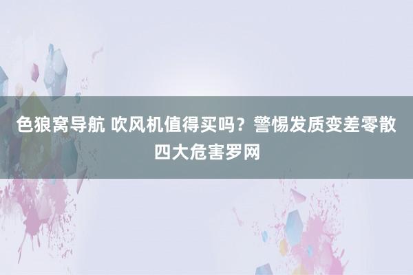 色狼窝导航 吹风机值得买吗？警惕发质变差零散四大危害罗网