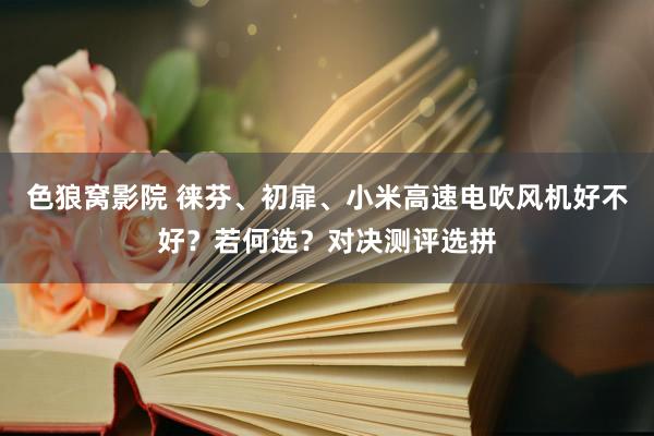色狼窝影院 徕芬、初扉、小米高速电吹风机好不好？若何选？对决测评选拼