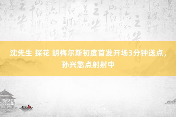 沈先生 探花 胡梅尔斯初度首发开场3分钟送点，孙兴慜点射射中