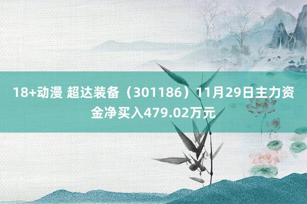 18+动漫 超达装备（301186）11月29日主力资金净买入479.02万元