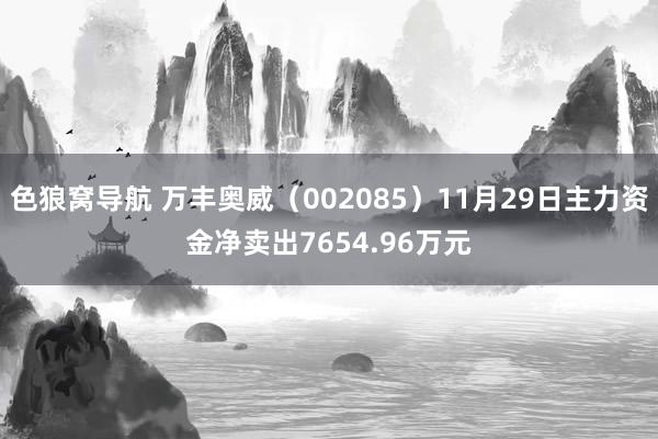 色狼窝导航 万丰奥威（002085）11月29日主力资金净卖出7654.96万元