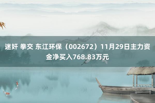 迷奸 拳交 东江环保（002672）11月29日主力资金净买入768.83万元