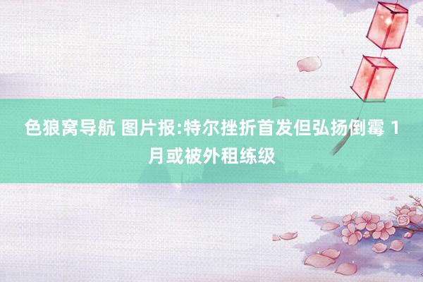 色狼窝导航 图片报:特尔挫折首发但弘扬倒霉 1月或被外租练级