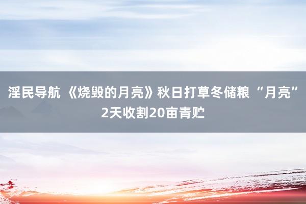 淫民导航 《烧毁的月亮》秋日打草冬储粮 “月亮”2天收割20亩青贮