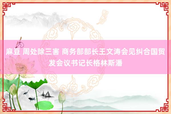 麻豆 周处除三害 商务部部长王文涛会见纠合国贸发会议书记长格林斯潘