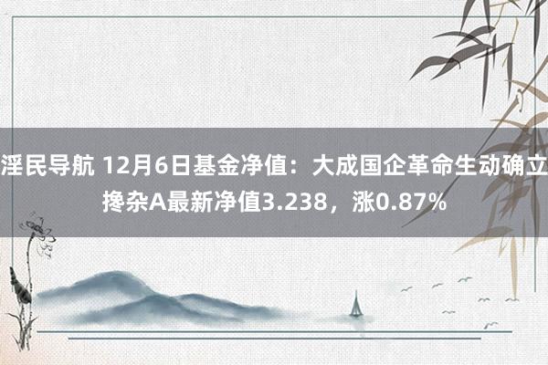 淫民导航 12月6日基金净值：大成国企革命生动确立搀杂A最新净值3.238，涨0.87%