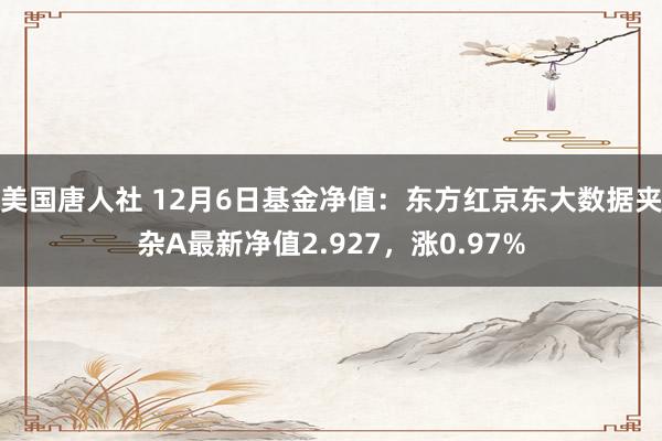 美国唐人社 12月6日基金净值：东方红京东大数据夹杂A最新净值2.927，涨0.97%