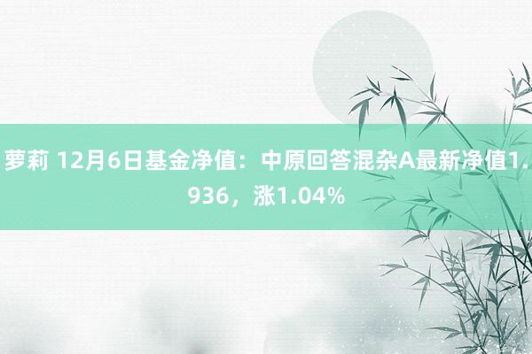 萝莉 12月6日基金净值：中原回答混杂A最新净值1.936，涨1.04%