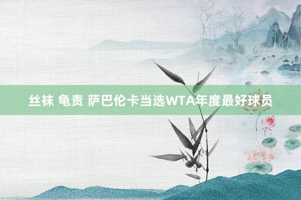 丝袜 龟责 萨巴伦卡当选WTA年度最好球员