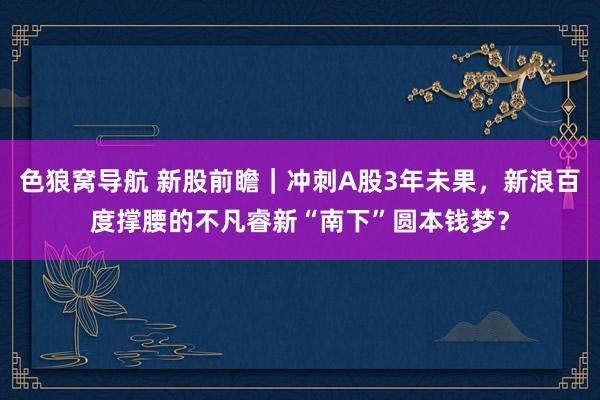 色狼窝导航 新股前瞻｜冲刺A股3年未果，新浪百度撑腰的不凡睿新“南下”圆本钱梦？