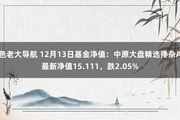 色老大导航 12月13日基金净值：中原大盘精选搀杂A最新净值15.111，跌2.05%