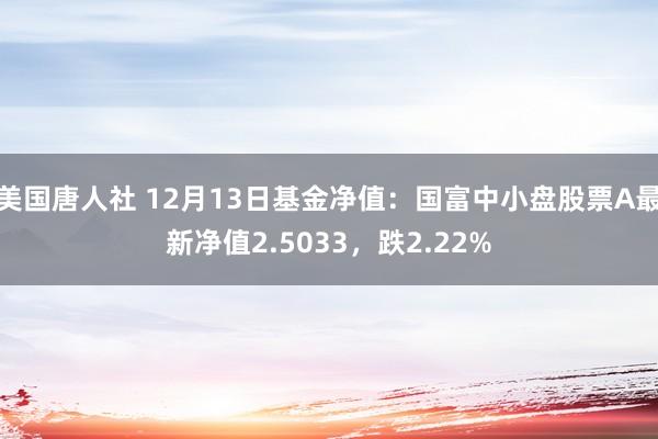 美国唐人社 12月13日基金净值：国富中小盘股票A最新净值2.5033，跌2.22%