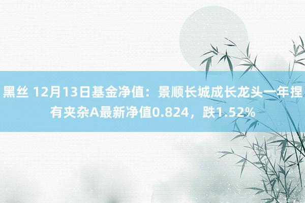 黑丝 12月13日基金净值：景顺长城成长龙头一年捏有夹杂A最新净值0.824，跌1.52%