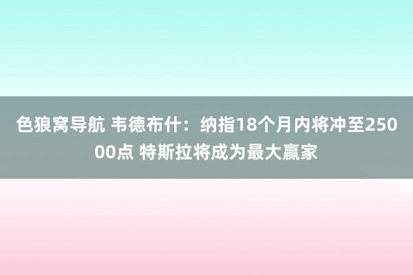 色狼窝导航 韦德布什：纳指18个月内将冲至25000点 特斯拉将成为最大赢家